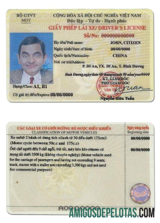 Carteira de motorista do Vietnã amostra